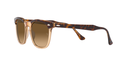 Ray-Ban Hawkeye Sunglasses RB2298 1292M2