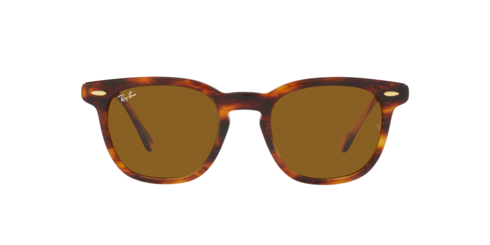 Ray-Ban Hawkeye Sunglasses RB2298 954/33