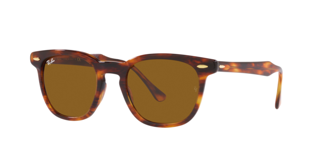 Ray-Ban Hawkeye Sunglasses RB2298 954/33