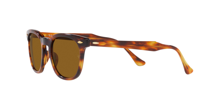 Ray-Ban Hawkeye Sunglasses RB2298 954/33