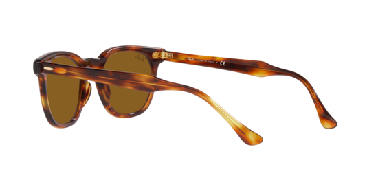 Ray-Ban Hawkeye Sunglasses RB2298 954/33