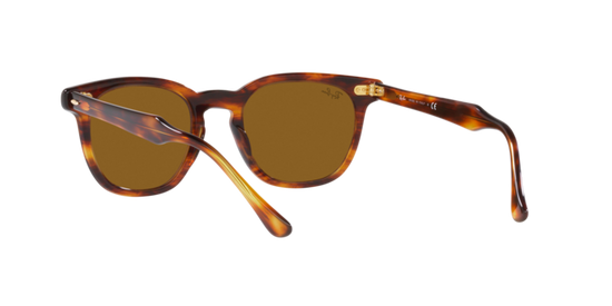 Ray-Ban Hawkeye Sunglasses RB2298 954/33