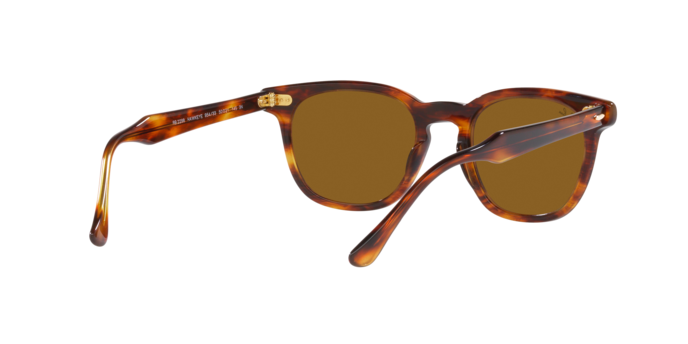 Ray-Ban Hawkeye Sunglasses RB2298 954/33