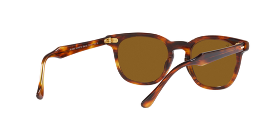 Ray-Ban Hawkeye Sunglasses RB2298 954/33