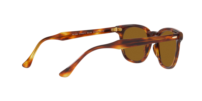 Ray-Ban Hawkeye Sunglasses RB2298 954/33