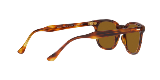 Ray-Ban Hawkeye Sunglasses RB2298 954/33