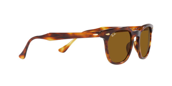 Ray-Ban Hawkeye Sunglasses RB2298 954/33