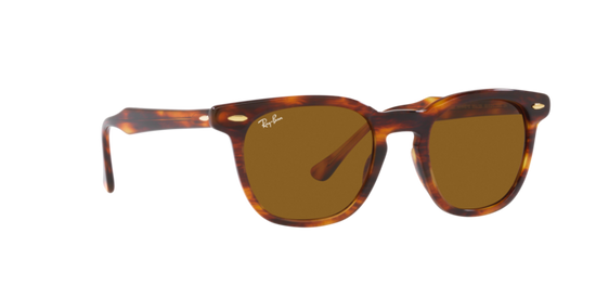 Ray-Ban Hawkeye Sunglasses RB2298 954/33