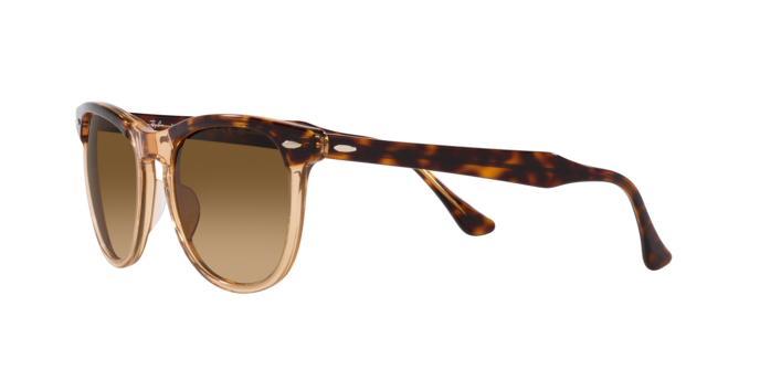 Ray-Ban Eagleeye Sunglasses RB2398 1292M2