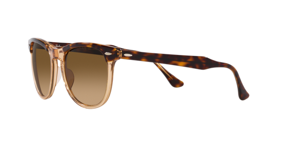 Ray-Ban Eagleeye Sunglasses RB2398 1292M2