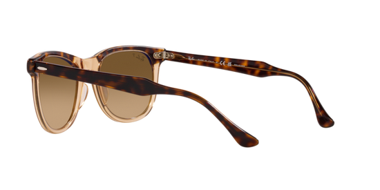 Ray-Ban Eagleeye Sunglasses RB2398 1292M2