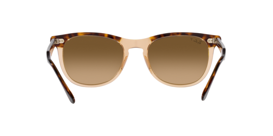 Ray-Ban Eagleeye Sunglasses RB2398 1292M2