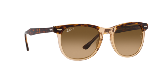 Ray-Ban Eagleeye Sunglasses RB2398 1292M2