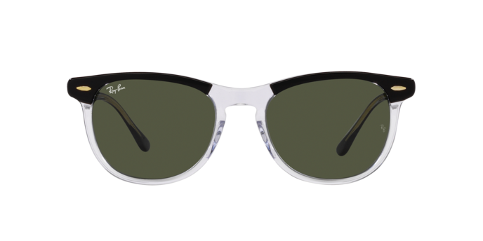 Ray-Ban Eagleeye Sunglasses RB2398 129431