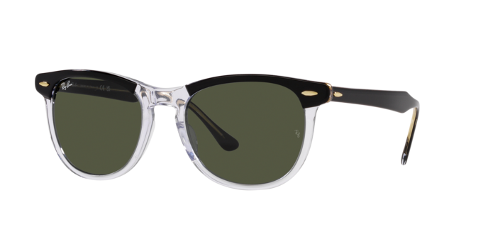 Ray-Ban Eagleeye Sunglasses RB2398 129431