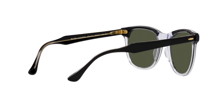 Ray-Ban Eagleeye Sunglasses RB2398 129431