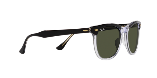 Ray-Ban Eagleeye Sunglasses RB2398 129431