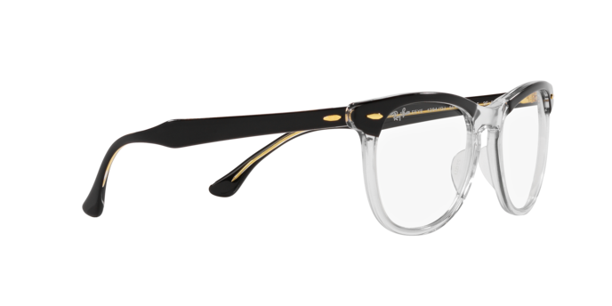 Ray-Ban Eagleeye Sunglasses RB2398 1294GJ