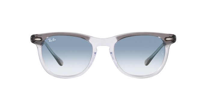 Ray-Ban Eagleeye Sunglasses RB2398 13553F