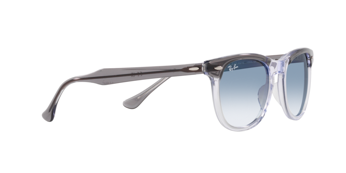 Ray-Ban Eagleeye Sunglasses RB2398 13553F