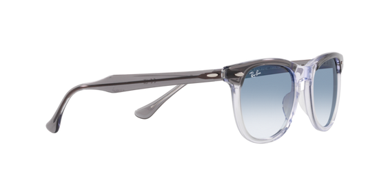 Ray-Ban Eagleeye Sunglasses RB2398 13553F