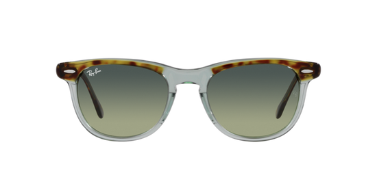 Ray-Ban Eagleeye Sunglasses RB2398 1376BH