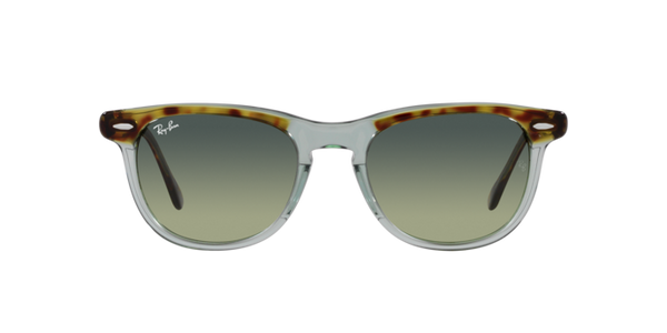 Ray-Ban Eagleeye RB2398 1376BH