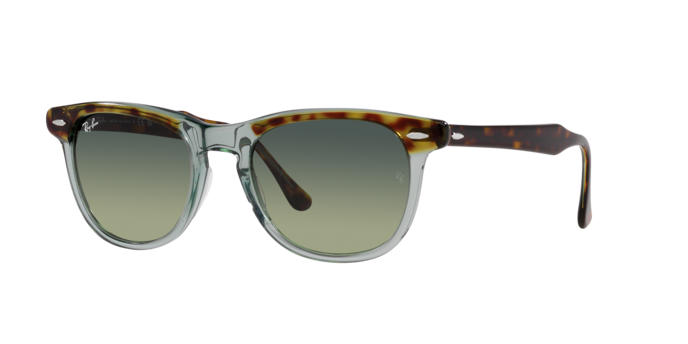 Ray-Ban Eagleeye Sunglasses RB2398 1376BH