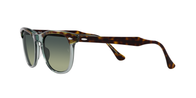 Ray-Ban Eagleeye Sunglasses RB2398 1376BH