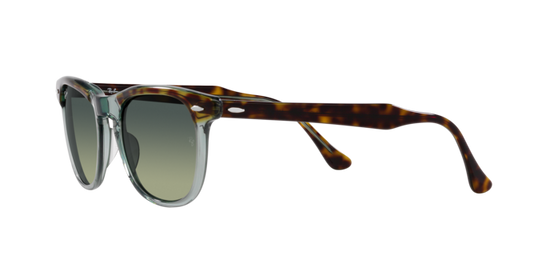 Ray-Ban Eagleeye Sunglasses RB2398 1376BH