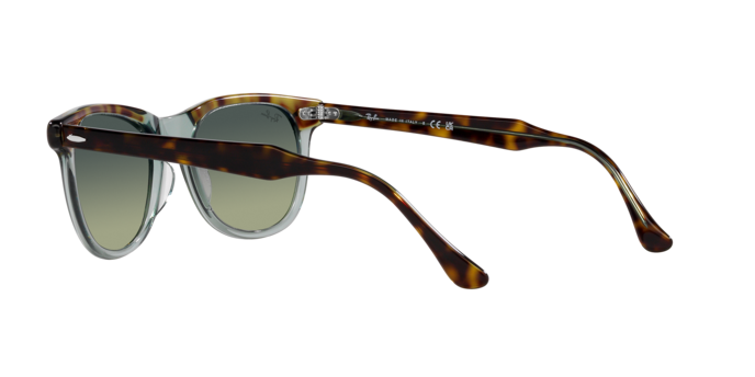 Ray-Ban Eagleeye Sunglasses RB2398 1376BH