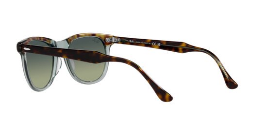 Ray-Ban Eagleeye Sunglasses RB2398 1376BH