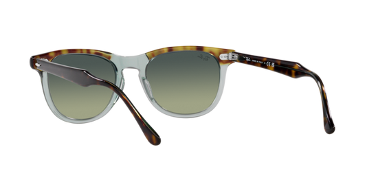 Ray-Ban Eagleeye Sunglasses RB2398 1376BH