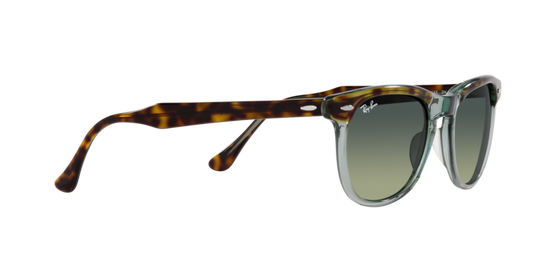 Ray-Ban Eagleeye Sunglasses RB2398 1376BH