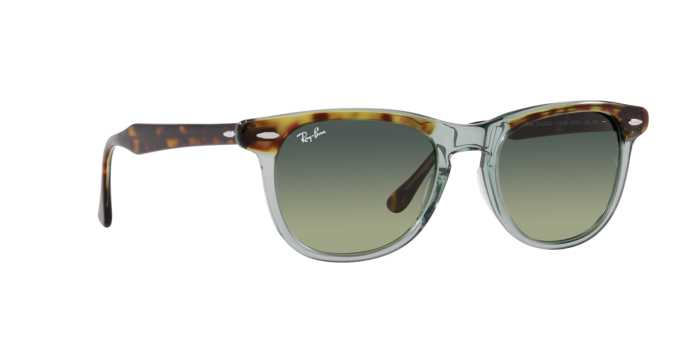 Ray-Ban Eagleeye Sunglasses RB2398 1376BH