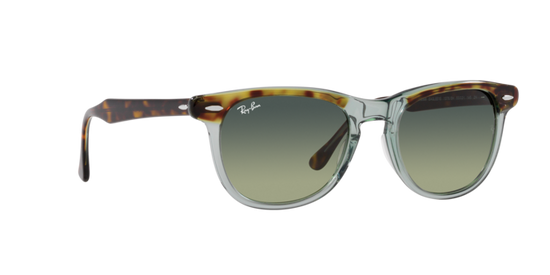 Ray-Ban Eagleeye Sunglasses RB2398 1376BH