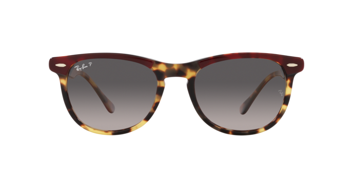 Ray-Ban Eagleeye Sunglasses RB2398 1377M3