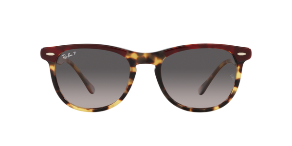 Ray-Ban Eagleeye RB2398 1377M3