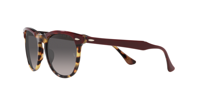 Ray-Ban Eagleeye Sunglasses RB2398 1377M3