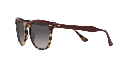 Ray-Ban Eagleeye Sunglasses RB2398 1377M3