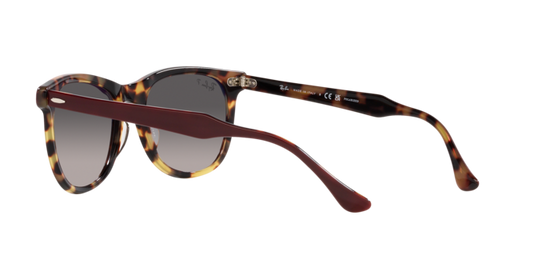 Ray-Ban Eagleeye Sunglasses RB2398 1377M3