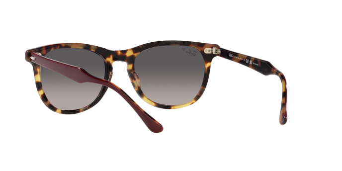 Ray-Ban Eagleeye Sunglasses RB2398 1377M3