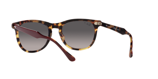 Ray-Ban Eagleeye Sunglasses RB2398 1377M3