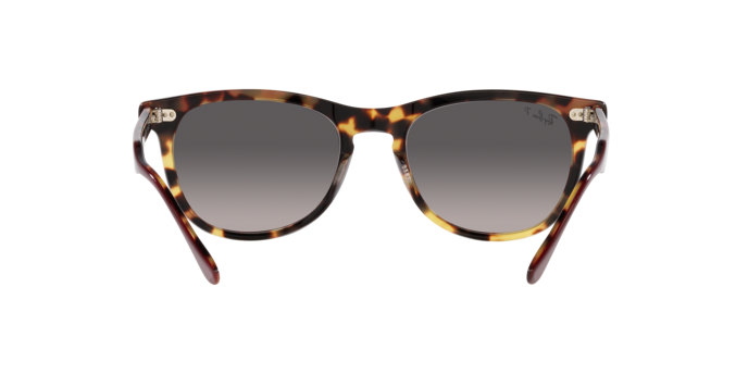 Ray-Ban Eagleeye Sunglasses RB2398 1377M3