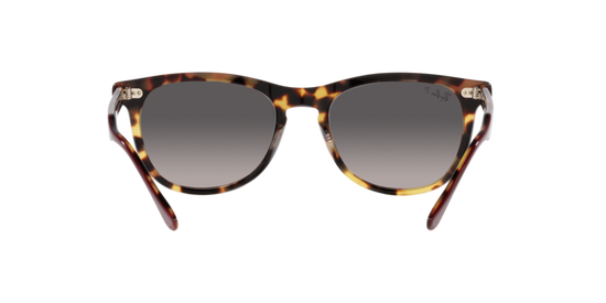 Ray-Ban Eagleeye Sunglasses RB2398 1377M3