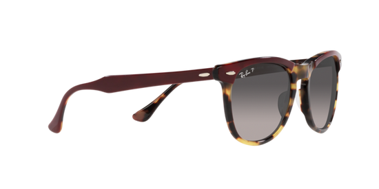 Ray-Ban Eagleeye Sunglasses RB2398 1377M3