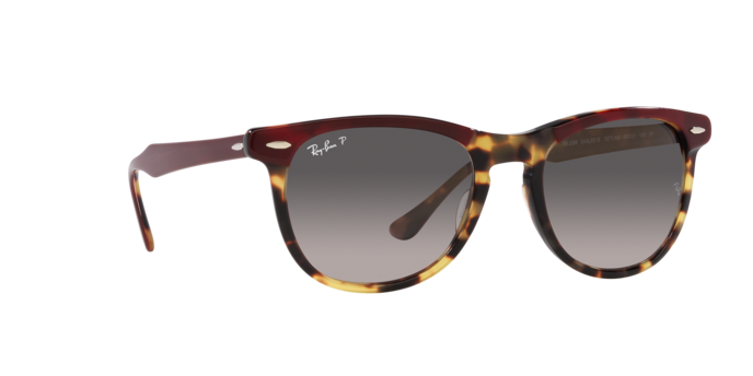 Ray-Ban Eagleeye Sunglasses RB2398 1377M3