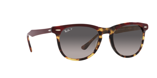 Ray-Ban Eagleeye Sunglasses RB2398 1377M3