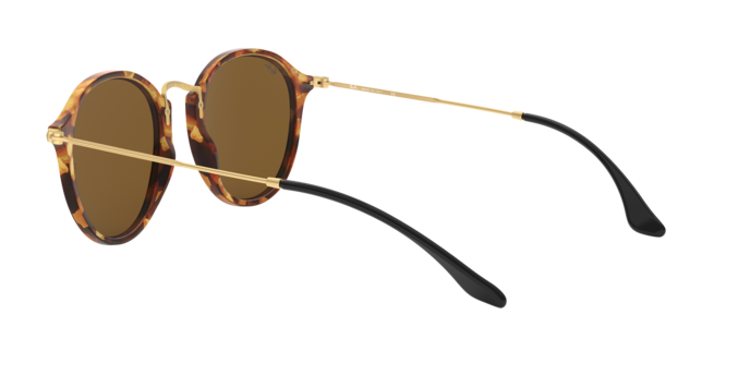 Ray-Ban Round Sunglasses RB2447 1160