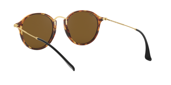 Ray-Ban Round Sunglasses RB2447 1160